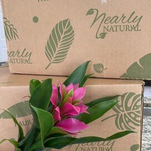 Nearly natural purple bromeliad